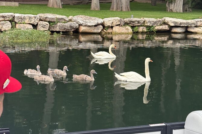Scenic Lake Austin Boat Tour. BYOB. 2 hr (up to 12 guests) - Why This Tour Stands Out in Austin’s Lake Scene