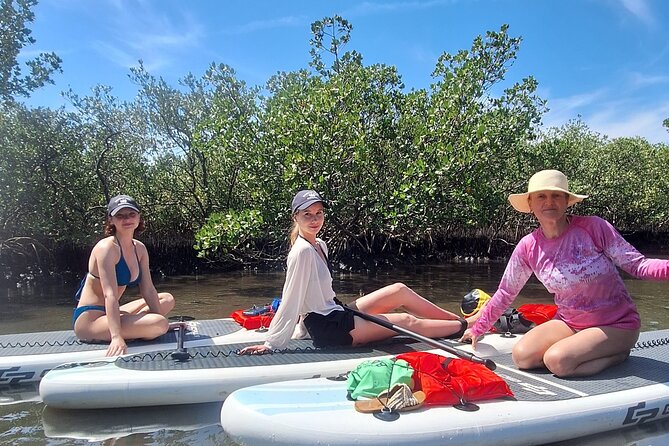 Scenic Mangrove Tunnel Paddle Tour  New Smyrna Beach - Equipment and Guide Support