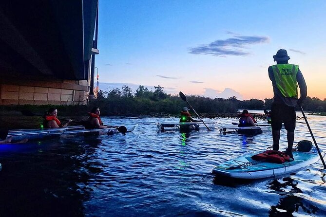 Scenic Mangrove Tunnel Paddle Tour  New Smyrna Beach - The Callalisa Park Mangroves