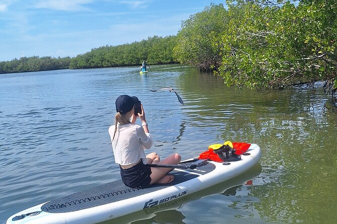 Scenic Mangrove Tunnel Paddle Tour  New Smyrna Beach - Eco-Conscious Mission and Environmental Impact