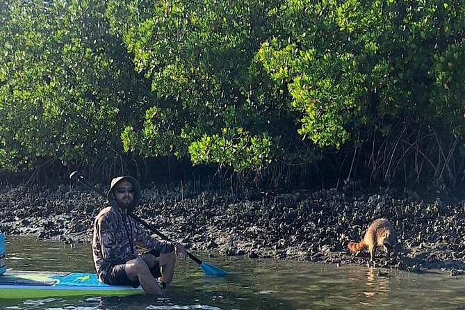 Scenic Mangrove Tunnel Paddle Tour  New Smyrna Beach - Booking and Timing Considerations