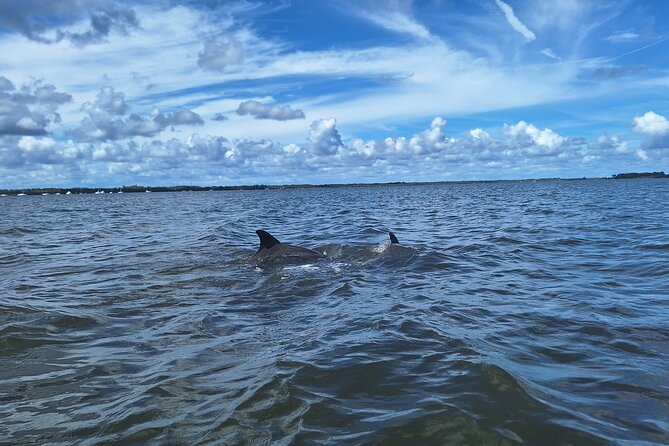 Scenic Mangrove Tunnel Paddle Tour  New Smyrna Beach - Physical Requirements and Accessibility