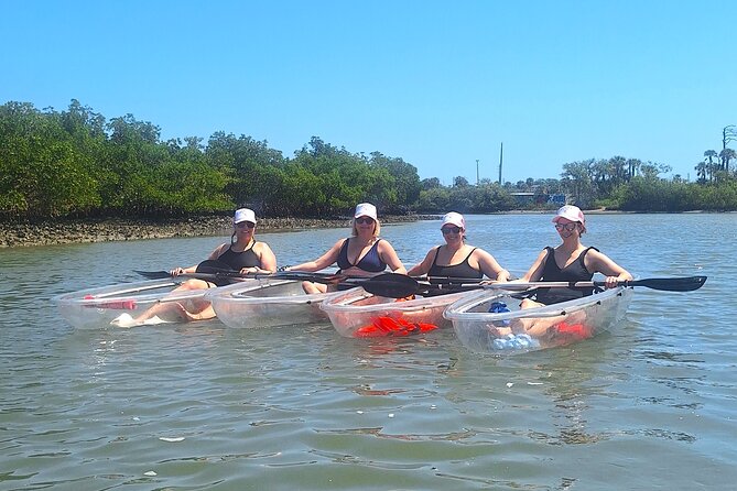 Scenic Mangrove Tunnel Paddle Tour  New Smyrna Beach - Comparing the Tour to Other Local Experiences