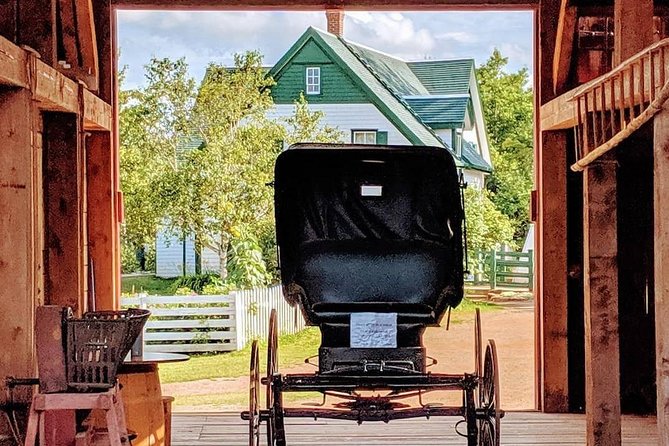 Scenic North Shore and Anne 5 Passengers only - Key Points