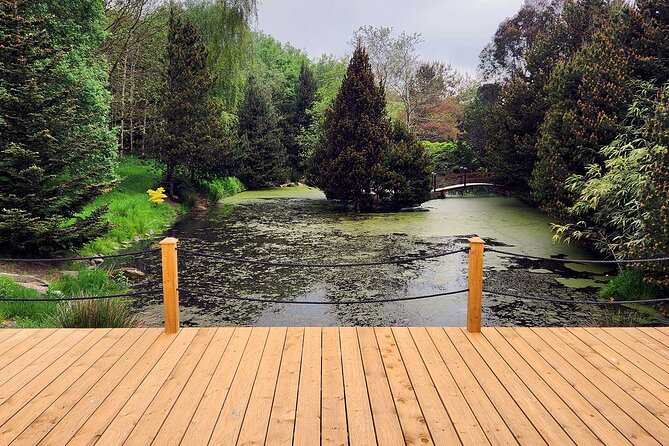 Scenic Restorative Yoga Class County Down in Ballynahinch - The Yoga Experience and Activities