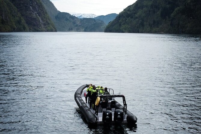 Scenic RIB adventure to Hardangerfjord & Fyksesund from Øystese - Pacing, Duration, and Group Size
