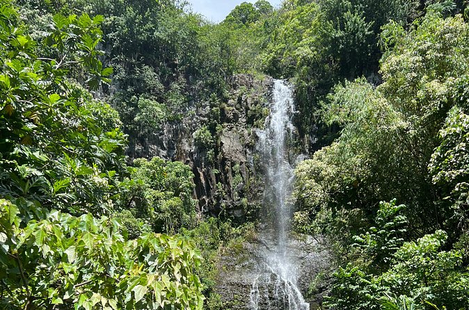 Scenic Road to Hana Adventure with Brunch - How the Logistics and Pacing Work