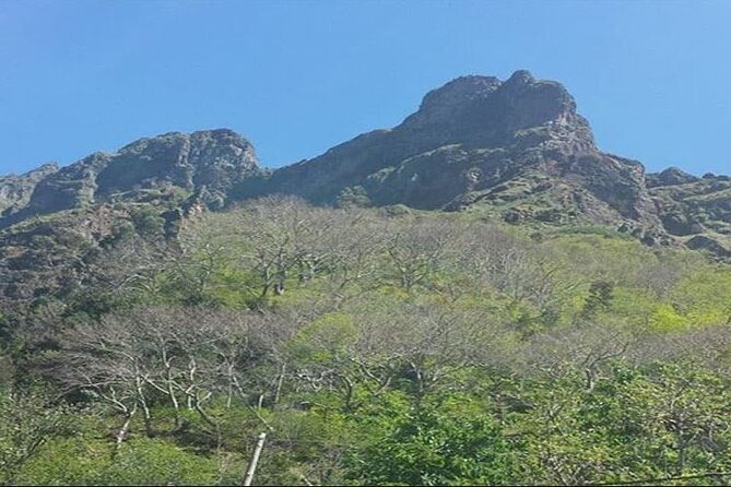 Scenic Route - Nuns Valley Tour - Air-Conditioned Transport and Small Group Comfort