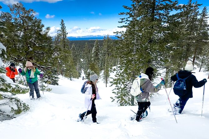 Scenic Snowshoe Adventure in South Lake Tahoe, CA - What to Expect at the Meeting Point and Logistics