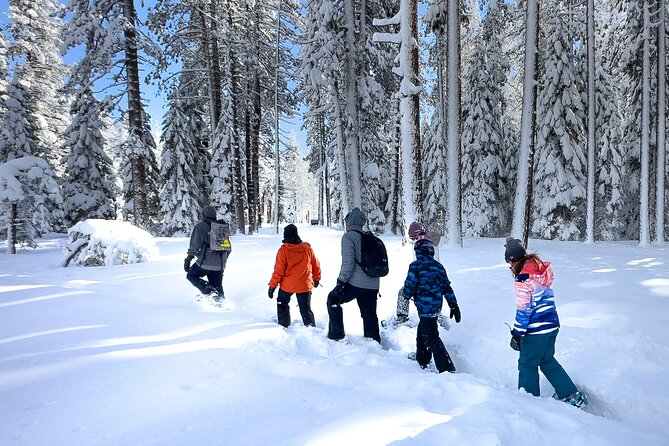 Scenic Snowshoe Adventure in South Lake Tahoe, CA - The Flexibility and Cancellation Policy