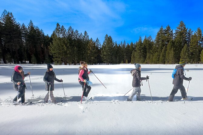 Scenic Snowshoe Adventure in South Lake Tahoe, CA - Overall Value and Who Will Enjoy This Tour