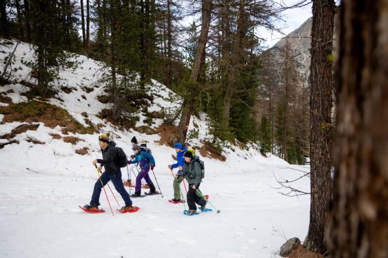 Scenic snowshoe hike in Sestriere - Key Points