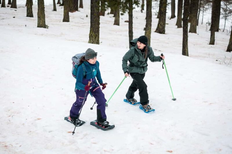 Scenic snowshoe hike in Sestriere - Exploring Sestriere’s Olympic Heritage on Snowshoes