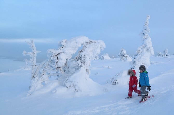 Scenic Snowshoeing on the Top of Pyhä Fell - Weather Conditions and Cancellation Policies