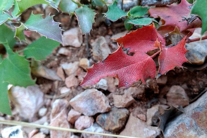 Scenic Tour of Bryce Canyon - Practical Aspects and Accessibility