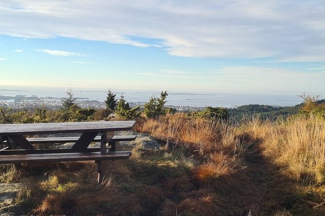 Scenic tour to Steinsfjellet, locals at Kringsjå & Rising Tide - Visiting Steinsfjellet: Norway’s Panoramic Viewpoint