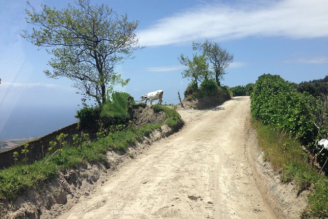 Scenic Trails of Sete Cidades: Half-Day Jeep Adventure - Ascending to Pico da Cruz for Panoramic Views