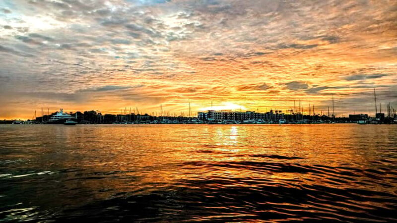 Scenic Wildlife Boat Cruise & Wine with a local Artist - Sunset Views and Coastal Scenery