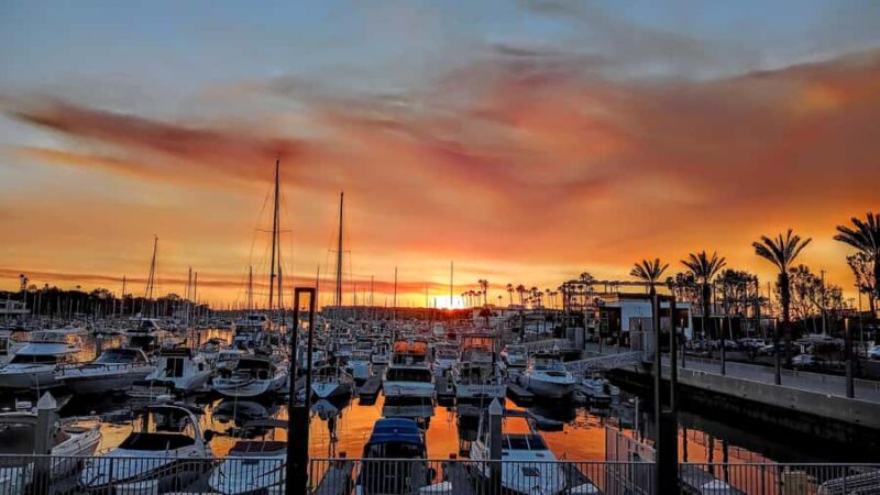 Scenic Wildlife Boat Cruise & Wine with a local Artist - Practical Details: Meeting Point and Timing