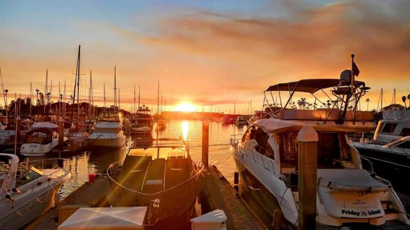 Scenic Wildlife Boat Cruise & Wine with a local Artist - Exclusive Experience Features of This Marina del Rey Tour