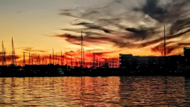 Scenic Wildlife Boat Cruise & Wine with a local Artist - How This Tour Compares to Similar Experiences