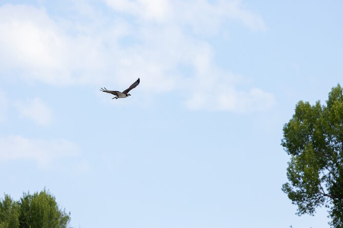 Scenic Wildlife Float Trip with Teton Views - Group Size and Booking Details