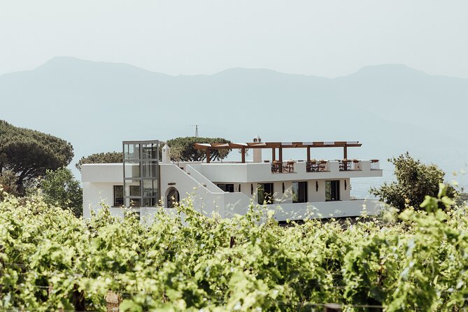 Scenic Wine Tasting & Lunch on the Slopes of Vesuvius from Naples - Mediterranean Lunch with Wine Pairings