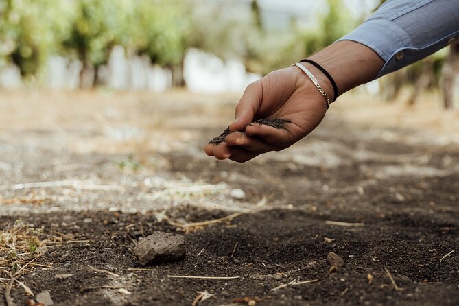 Scenic Wine Tasting & Lunch on the Slopes of Vesuvius from Naples - Tour Duration and Pacing