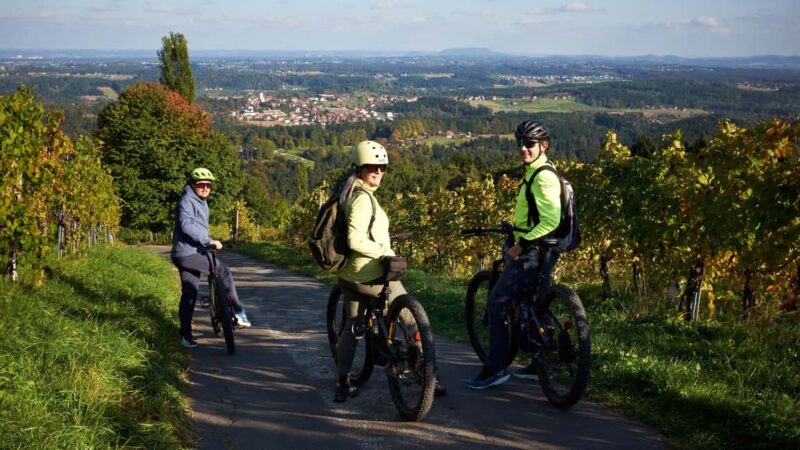 Schilcherland E-Bike Tour with Exclusive Wine Tasting - Key Points