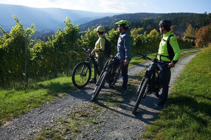 Schilcherland E-Bike Tour with Exclusive Wine Tasting - Returning to RadreparaTOUR and Local Souvenirs