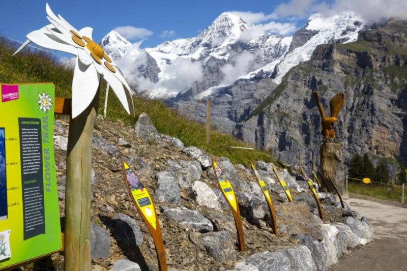 Schilthorn Day Trip and Bond World 007 from Geneva - Departure from Geneva: Starting Your Alpine Journey