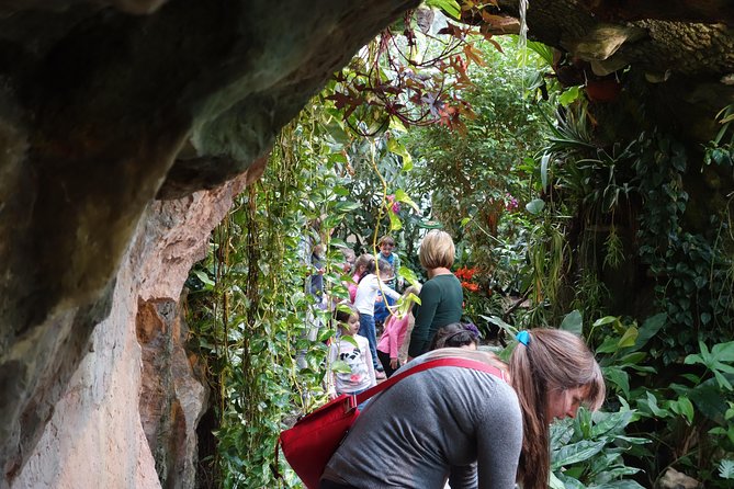 Schmetterlinghaus - Imperial Butterfly House Vienna Admission Ticket - Limitations and Considerations