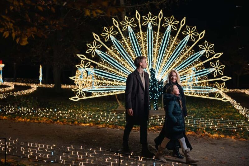 Schönbrunn: Imperial Lights - Lightgarden - Schönbrunn’s Baroque Gardens Turned Light Art Gallery