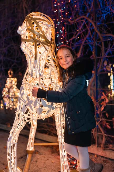 Schönbrunn: Imperial Lights - Lightgarden - Themed Light Installations and Historical Atmosphere