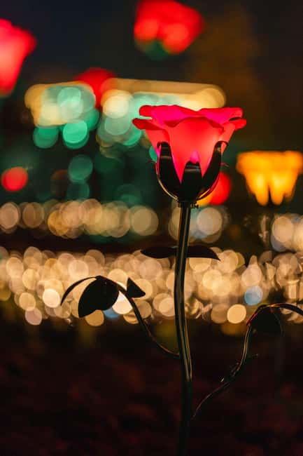 Schönbrunn: Imperial Lights - Lightgarden - What Sets This Tour Apart from Other Light Shows