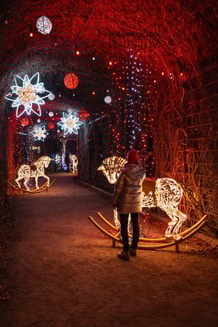 Schönbrunn: Imperial Lights - Lightgarden - Schönbrunn: Imperial Lights Lightgarden – Final Thoughts