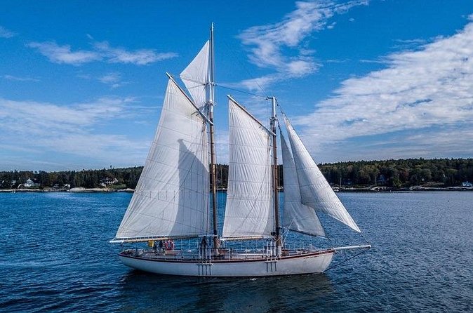 Schooner Eastwind 2 Hour Day Sail in Boothbay Harbor - The Intimate Group Size and Overall Atmosphere