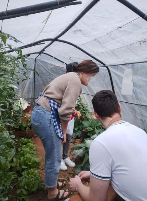 Sciacca: Traditional Pasta Class With Wine Included - The Role of the Local Host and Family Atmosphere