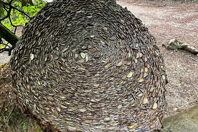 Scone Palace, Nature, Pitlochry, Whisky Experience from Edinburgh - Starting Point and Transportation Details