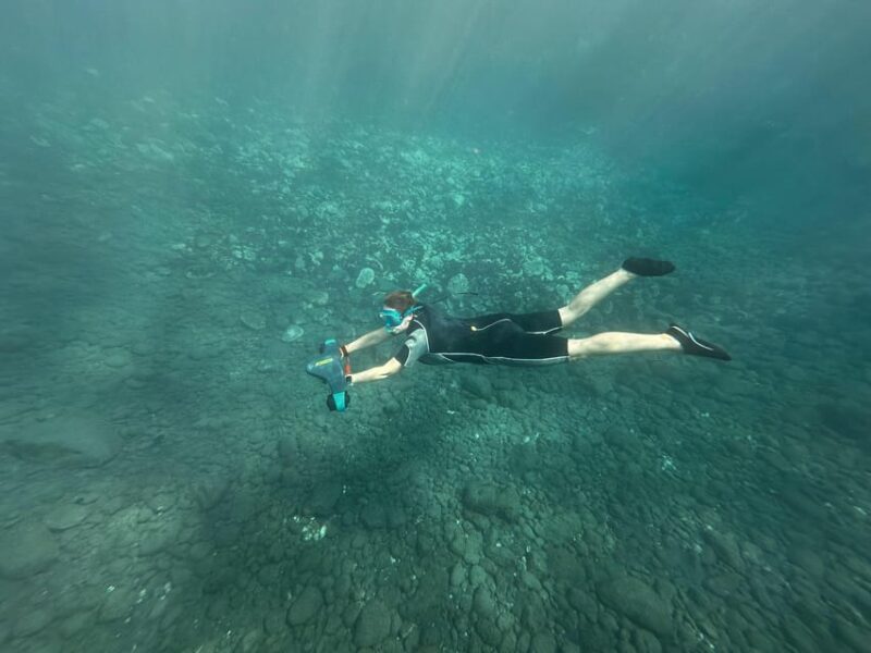 Scooter fun snorcel tour in turtle area - Spotting Sea Turtles and Marine Life in the Protected Area