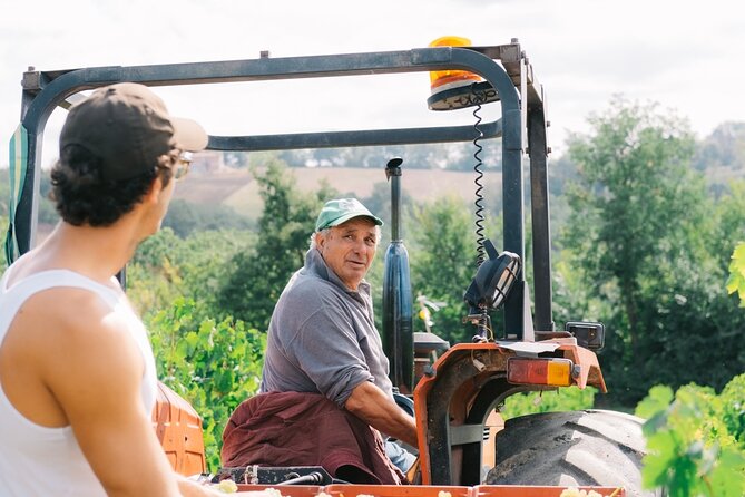 Scoprire la Vera Tintilia del Molise, Autentico ed Eccellenso - Tasting the Best of Molise: Wines and Local Delicacies