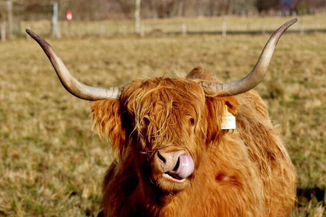 Scotland Lochs & Glens Day Tour - Exploring Callander, the Highland Gateway