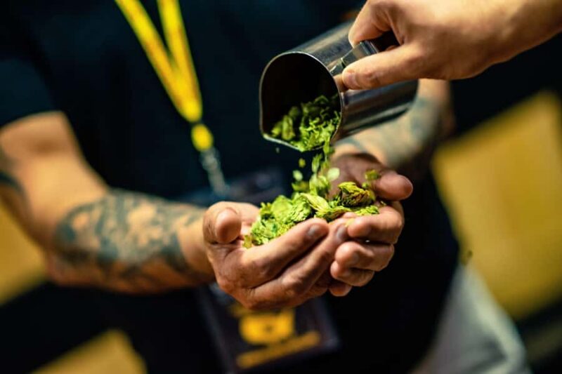 Scottsdale: Original Brew Tour with Beer Tastings and Snack - Beer Tastings and Snack Pairings