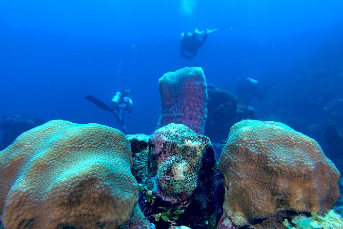 Scuba Certification - The Instructors: Damon, Ben, and Charlie