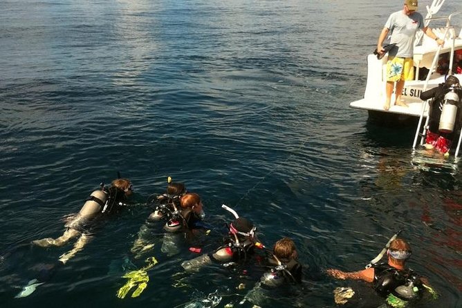 Scuba Certification - Meeting Point, Timing, and Logistics