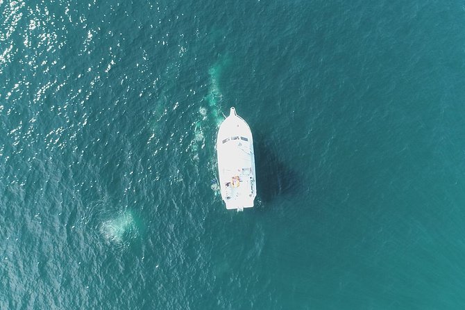 Scuba Certification - The Certification’s Long-Term Value