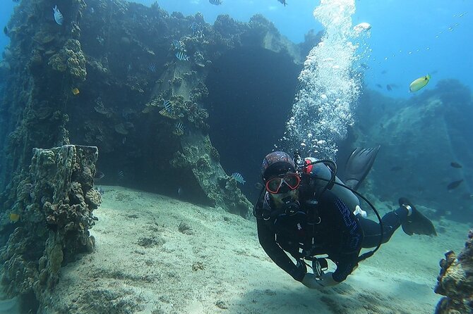 SCUBA Dive at Electric Beach with Photos -No Certification Needed - Exploring the Reef: What Youll See