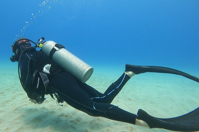 SCUBA Dive at Electric Beach with Photos -No Certification Needed - The Equipment and Photo Package