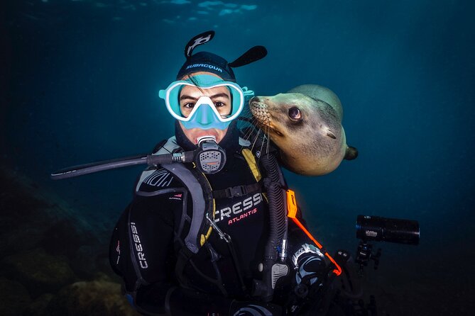 Scuba Dive in La Paz: Sea Lions, Turtles, Fish Schools and Wrecks - Lunch and Beach Breaks in La Paz