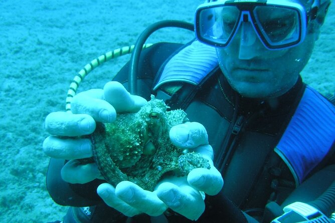 SCUBA DIVE: Kallithea's Underwater Exploration - Discover Kallithea’s Marine Environment and Sea Life